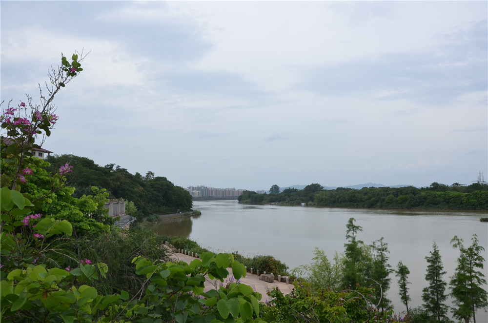 國(guó)務(wù)院：聚焦企業(yè)關(guān)切，進(jìn)一步推動(dòng)優(yōu)化營(yíng)商環(huán)境政策落實(shí)